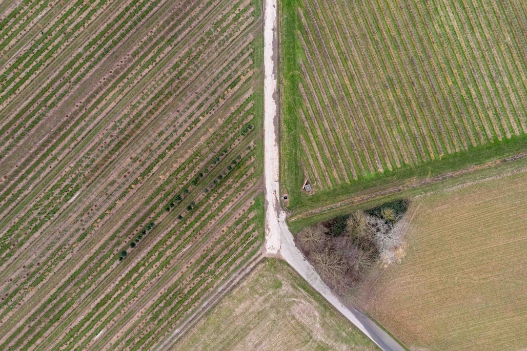 Photo Rural landscape